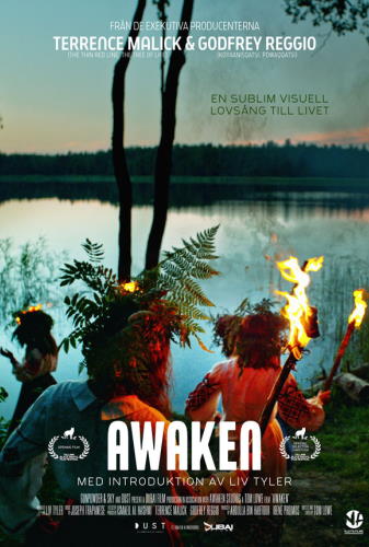 Affisch för Awaken
